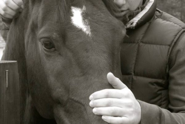 Austin-Davis-Horse-Riding