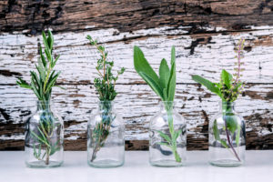 Dr Ken Davis | Essential Oils